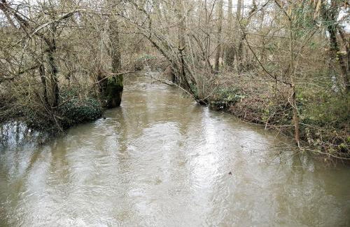 Maison située aux confins de la Vallée du Loir - Photo 17