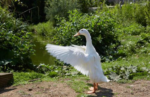 The Grainstore at Moor Farm - Foto 32