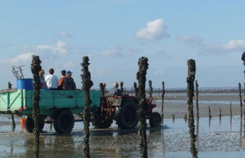 Chez charlotte - Foto 43