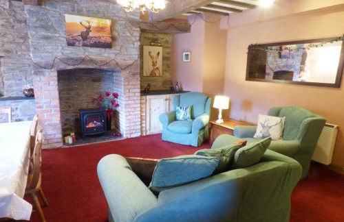 Arllen Fawr - Foto 6