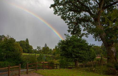 Room with a view - Photo 30