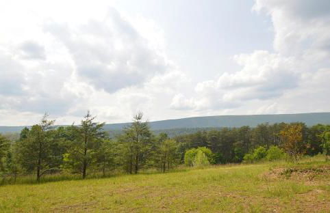 Black Bear Cabin - Fire Pit, Grill, View, Pet Friendly, Fireplace, King Bed, Wifi, Game Room - Foto 42
