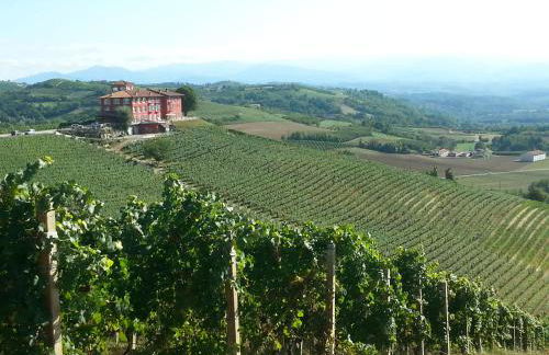 Bricco Rosso - Foto 70