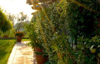 Agriturismo Borgo La Casetta - Foto 57