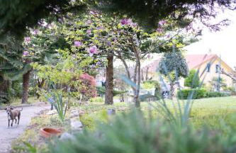 Casa Milladoiro - Foto 33