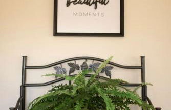 Adventure Hub Biking Hiking Hunting Paddle - Foto 2