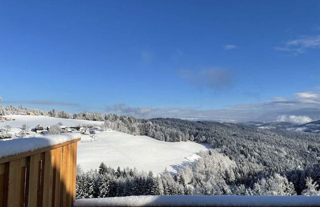 Andi's Berghutte Comfortable Holiday Residence - Foto 24