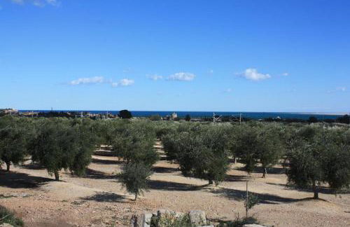 Cau d'Amor - Foto 34