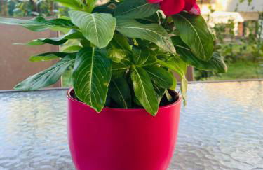 La casa di Giulio - Foto 29