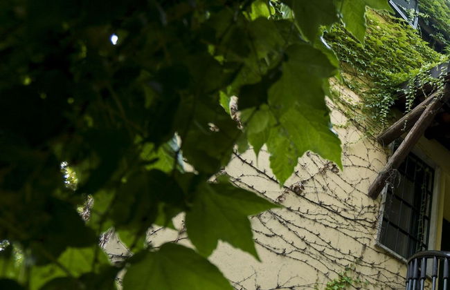 Italianway - Argelati - Foto 23