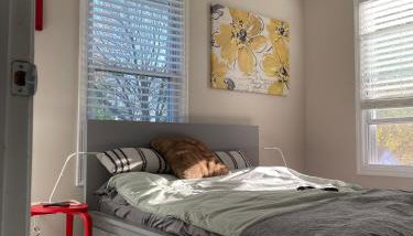 Cozy Condo in Beautiful Historic Neighborhood - Foto 3