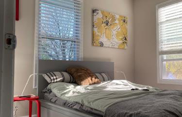 Cozy Condo in Beautiful Historic Neighborhood - Foto 3