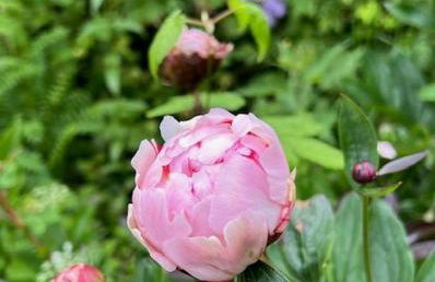 The Cottage, Walworth Demesne - Foto 48