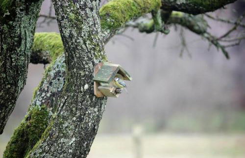 La Croix Bala - Foto 11