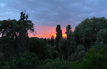 LA FRASCA FRESCA - Photo 22