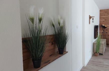 Villa Bad Bertrich - Photo 10