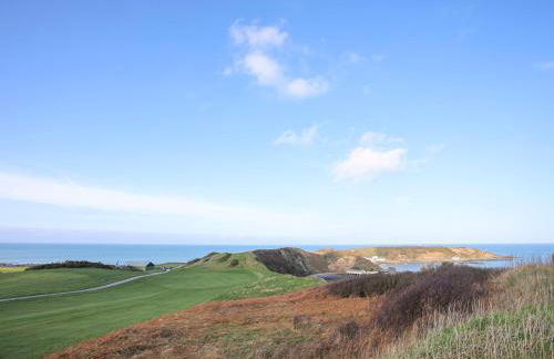 Bwthyn Gwenyn Yr Haf Summer Bee Barns - Photo 42