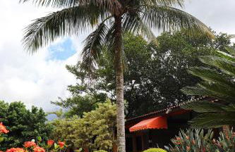 Casa de temporada Refugio das Aguias - Foto 23