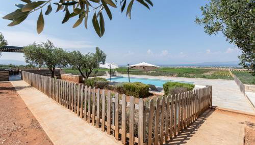 The Olive Hill - Foto 5