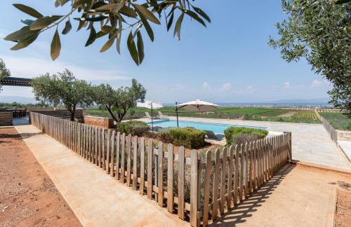 The Olive Hill - Foto 5