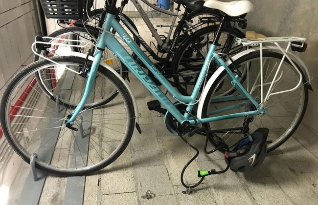 Apartamentos Royal Life - Foto 56