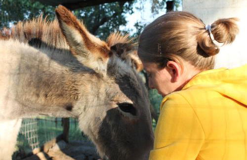 Il Rifugio del Contadino Country House - Photo 44