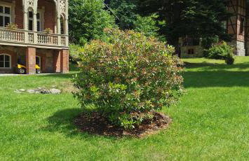 Willa Trebla - Foto 36