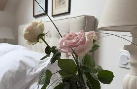 Situation exceptionnelle HARMONY III - Photo 59