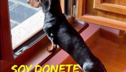 MODERNO PISO CON LA MEJOR TERRAZA DE RIBADEO Y VISTAS MARAVILLOSAS - Foto 4