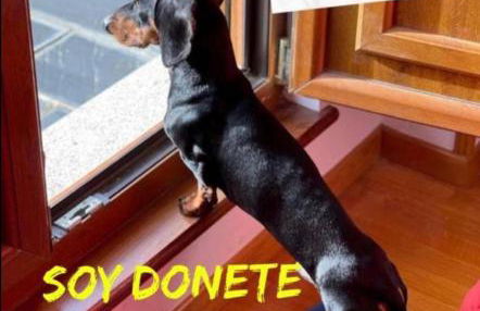 MODERNO PISO CON LA MEJOR TERRAZA DE RIBADEO Y VISTAS MARAVILLOSAS - Foto 4