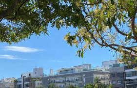 Apartamento Novo Campeche em Florianópolis - Foto 62