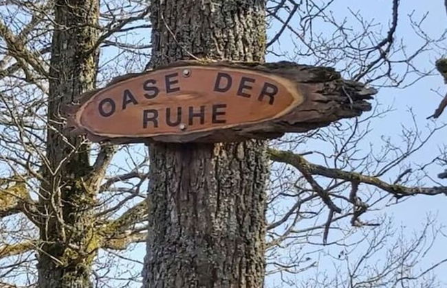 Holiday Apartment Falkenlay - Foto 21