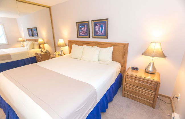 The Grey Gull - Foto 59