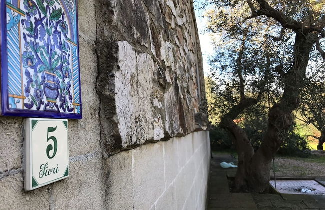 Bioagriturismo Masseria Sciaiani Piccola - Photo 47