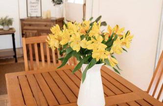 Heated North Carolina Glamping Rental Surrounded by Pisgah National Forest - Foto 8