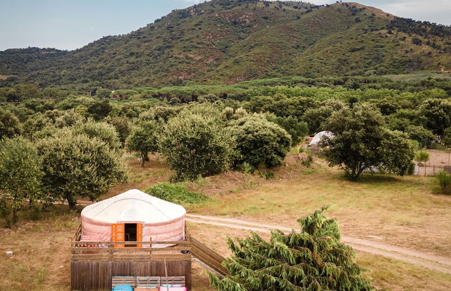 Le Mas Cabanids - Foto 1