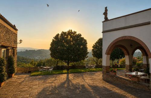 Podere di Montecchio - Le Andane - Foto 62
