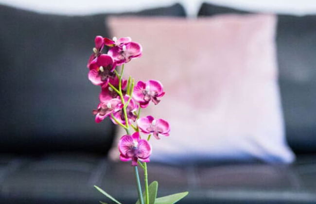 Vakantieappartement Alstaden 1 - Foto 14