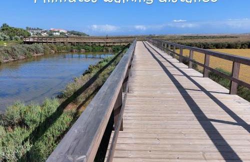 Ancão Beach Apartment - Photo 3