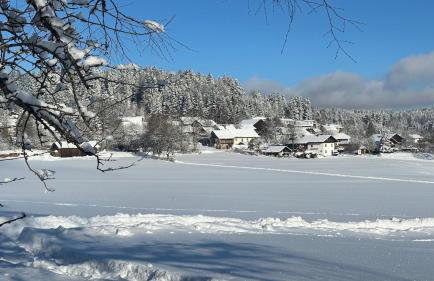 Villa Barka - Foto 56