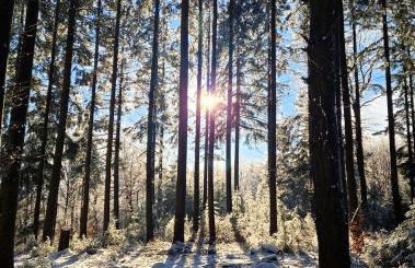 Ferienwohnung Katharina - Foto 33
