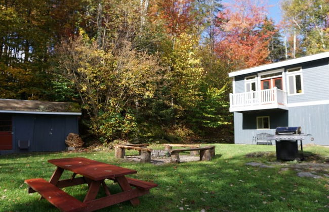 Secluded 6 Acre Property near Mountain Road - Foto 27