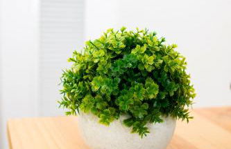 La caseta de cinta - Foto 41