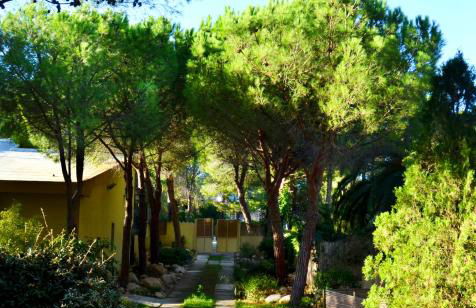 Abbaechelu - Foto 36