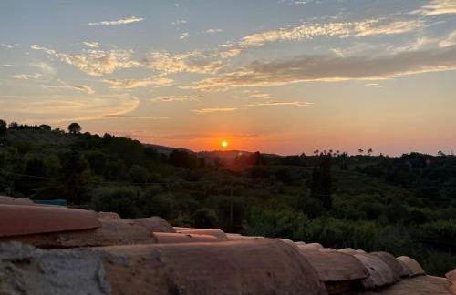 Tony's Home - Foto 22