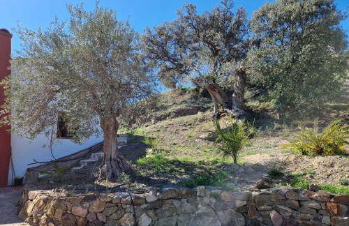 Rural cottage VINCENT van Gogh, with spectacular pool & OPTIONAL private 6 guests jacuzzi - Foto 34