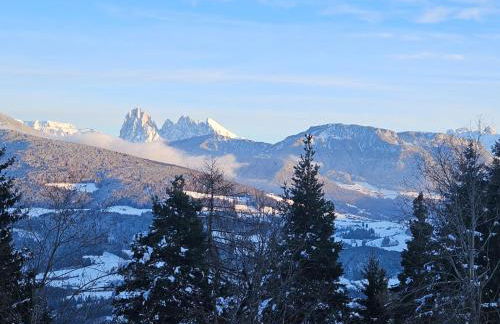 Alone in Chalet with view on Dolomites - Foto 40