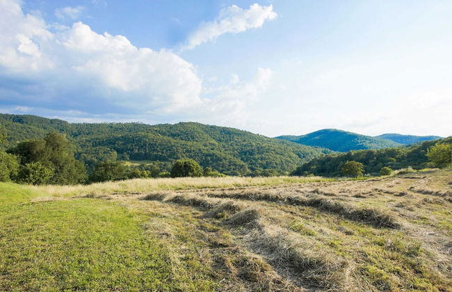 Farmhouse in Tuscany Near Anghiari - Photo 39