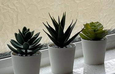 Beach retreat! - Foto 19