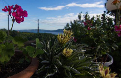 Apartment Magdic - Photo 30